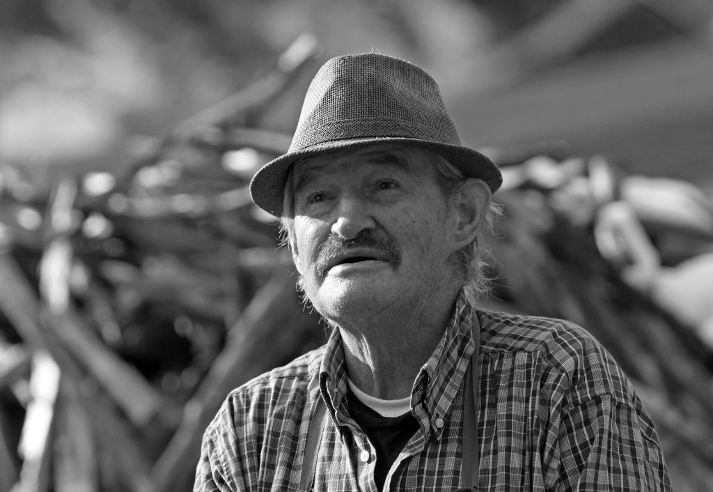 Rottonara, M. (2014). Retrato hombre agricultor. Recuperado de: https://pixabay.com/es/photos/agricultor-hombre-persona-masculino-540681/